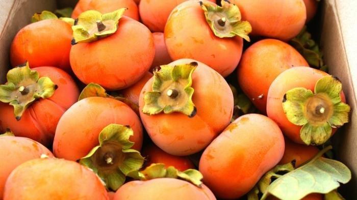 Manfaat Buah Kesemek Untuk Meningkatkan Produksi Kolagen