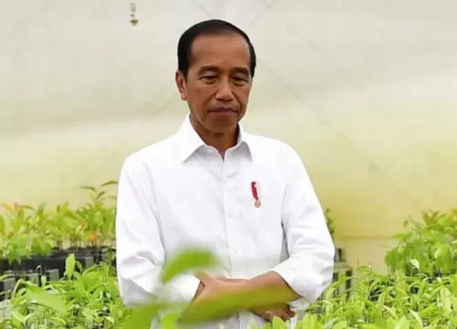 Jokowi Pertimbangkan Laporan Hukum Terkait Isu Ijazah Palsu yang Beredar