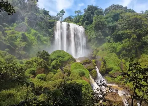Jelajah Kendal: Destinasi Alam Instagramable dan Edukatif Menawan