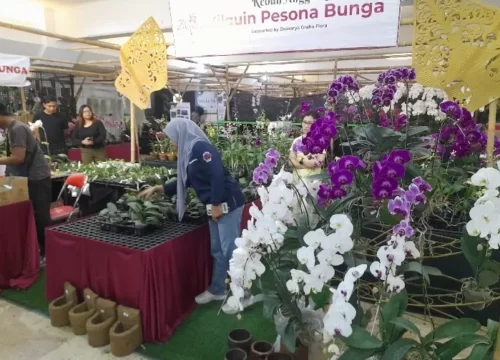 Solo Anggrek Festival 2025: Dorong Ekonomi Hijau Soloraya