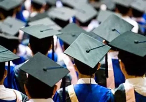 Kisah Inspiratif Selegani: Sarjana Akuntansi Sukses Lewat Kerja Keras