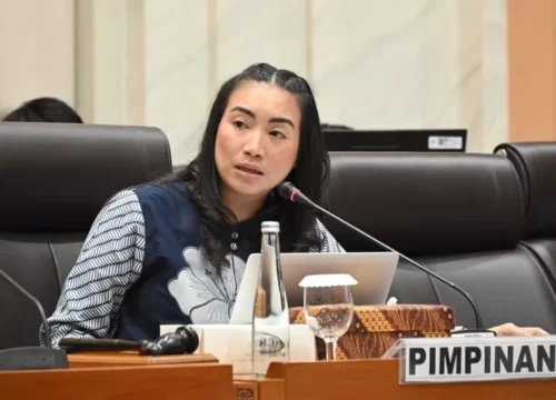 Politisi Sarankan Hindari Ketergantungan Kerja Pemerintah: Reaksi Publik Mengejutkan